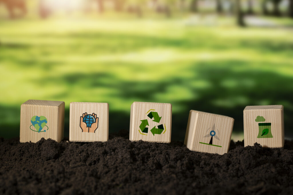 objectifs de developpement durable nature morte
